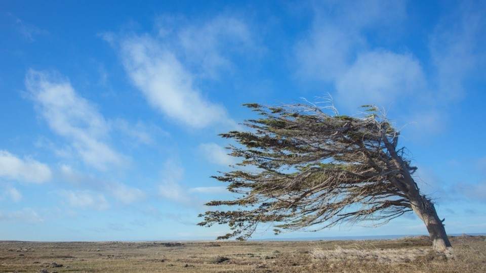 Alerta Por Fuertes Vientos Para Este Viernes Con Ráfagas Superiores A ...