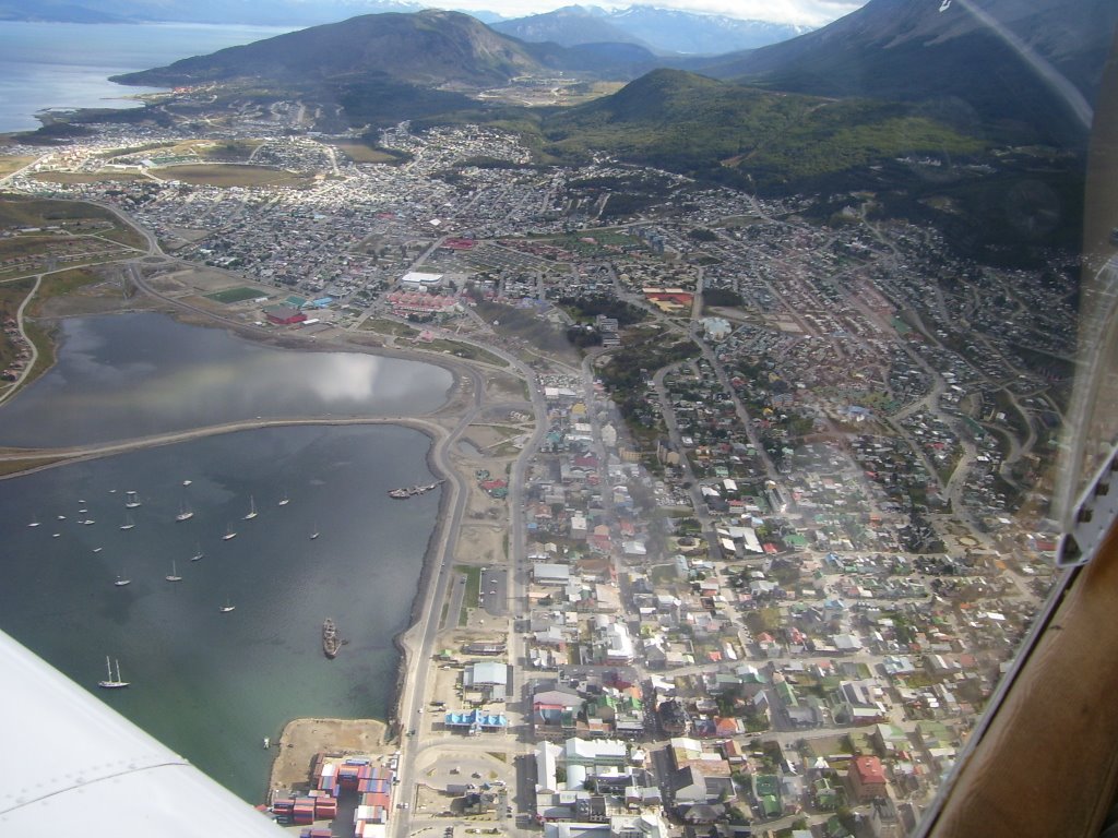 Pino Ushuaia Debe Seguir Creciendo Son Limites Muy Acotados Tiempo Fueguino